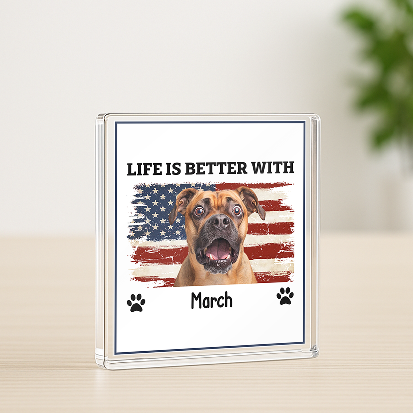 PSA02 Life Is Better With Personalized Photo Upload Custom Acrylic Plaque